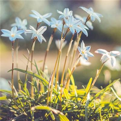 电玩城金鲨银鲨下载手机版