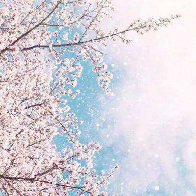 上下分的捕鱼app下载手机版