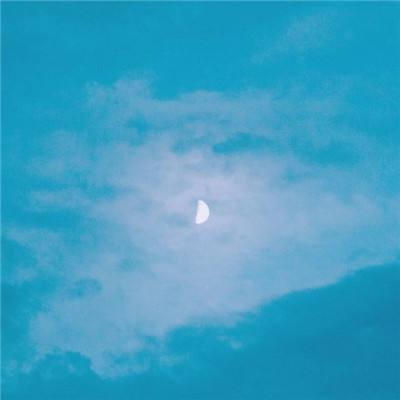 手机买彩票app下载