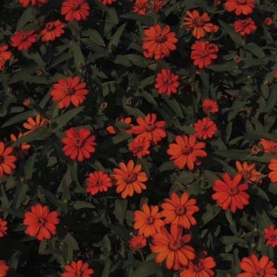 ayx体育在线登录下载手机版