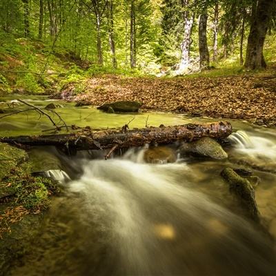 易倍手机app下载